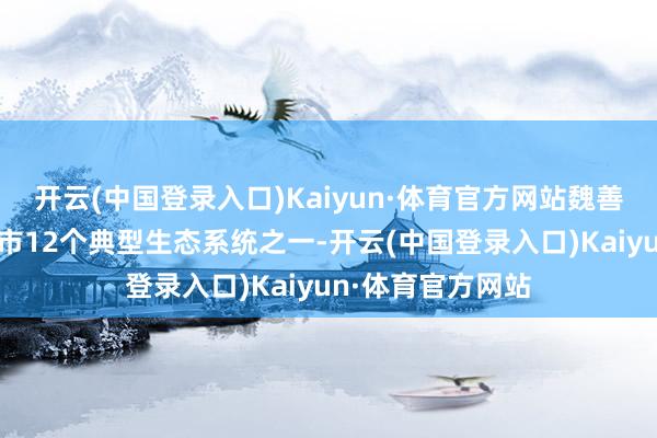 开云(中国登录入口)Kaiyun·体育官方网站魏善庄镇林地行为全市12个典型生态系统之一-开云(中国登录入口)Kaiyun·体育官方网站