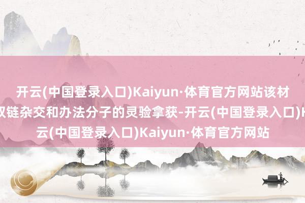 开云(中国登录入口)Kaiyun·体育官方网站该材干不错竣事高产量的双链杂交和办法分子的灵验拿获-开云(中国登录入口)Kaiyun·体育官方网站