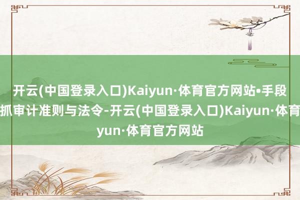 开云(中国登录入口)Kaiyun·体育官方网站•手段条目：掌抓审计准则与法令-开云(中国登录入口)Kaiyun·体育官方网站