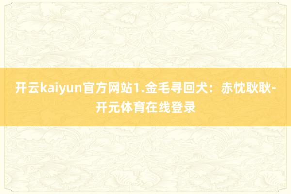 开云kaiyun官方网站1.金毛寻回犬：赤忱耿耿-开元体育在线登录